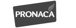 pronaca-logo-pesatronic